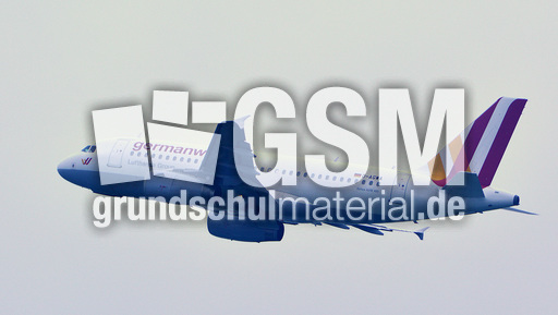 Airbus A319-100_5.jpg